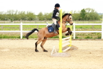 SBM_008264