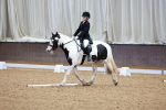 SBM_001295