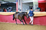 SBM_16095