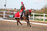Pendarves Christmas Sparkle Dressage 07 December 2025 portfolio