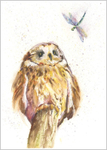 Owl and Dragonfly 413