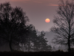 Silhouettes at Mogshade