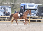 BPP_8919