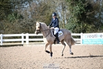 Sunday 30th - Click to View portfolio