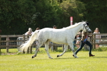 SBM_02486