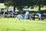 SBM_37201