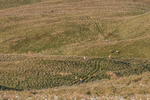 Dockray Hartside-8