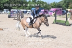 BPP_8593