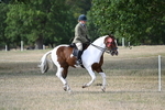WJ7_7745