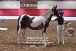 BPP_1599