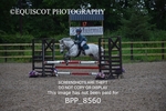 BPP_8560