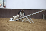 SBM_006084