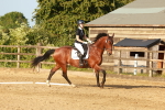 SBM_000546