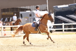 SBM_001637
