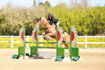 SBM_001353