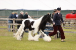 SBM_05966