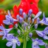 Mainly Floral 2024-2