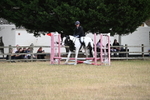 WJ6_1253