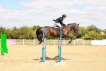 SBM_006440