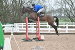 Cls 22 Foxhunter and 1.20m Open portfolio