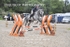 BPP_6736