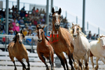 3HRodeo7-25-25_CFD_01264_