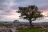 20120630-_MG_9136