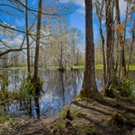 Cross Creek