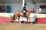 SBM_14888