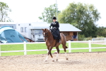 SBM_03338