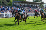 310526-Race 5-Fandom-9087
