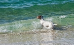 Jack at Achmelvic beach.