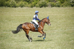 BVHT 140517  IXC -91
