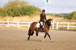 SBM_009405