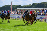120626-Race 6-Rotokura Belle-8244
