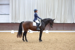 SBM_001081
