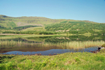 Loch Doire nam Mart, Morvern