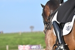 159-Darren.Hicks-Tramontana.Tiger.Feet portfolio