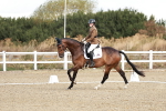 SBM_003439