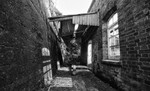 The Siding