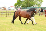 SBM_04190