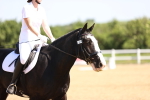 SBM_007840