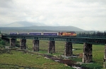 29th May 2009