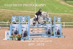 BPP_3878