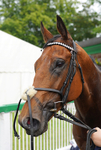 160626-Race 3-Vingegaard-8