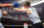 Sparring Bout-4_Chris Sumner v Niall Adams-9