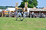 SBM_15384
