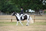 WJ6_3792