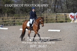 BPP_8687