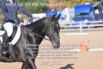 BPP_8061